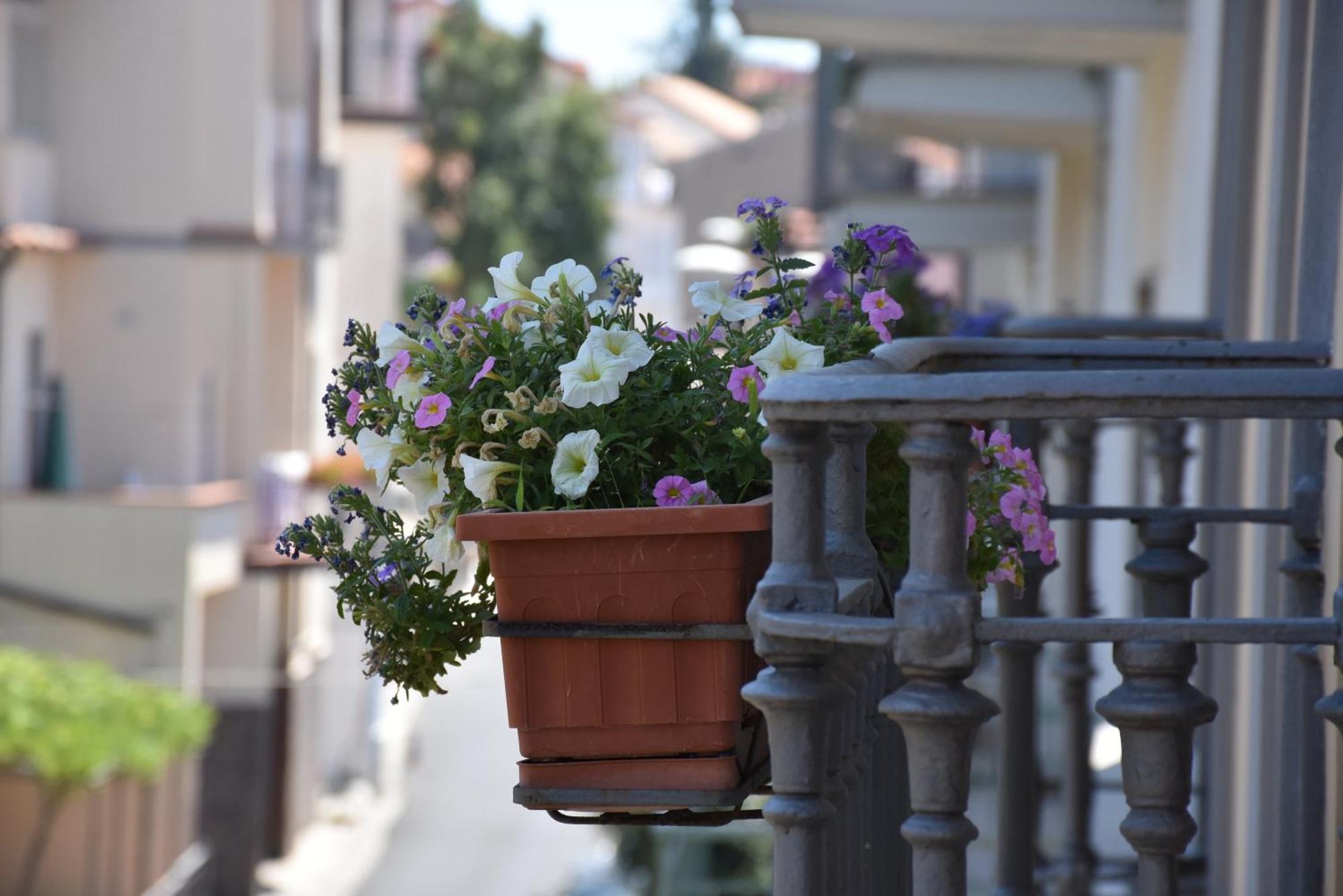 Hotel Risorgimento Agerola Kültér fotó